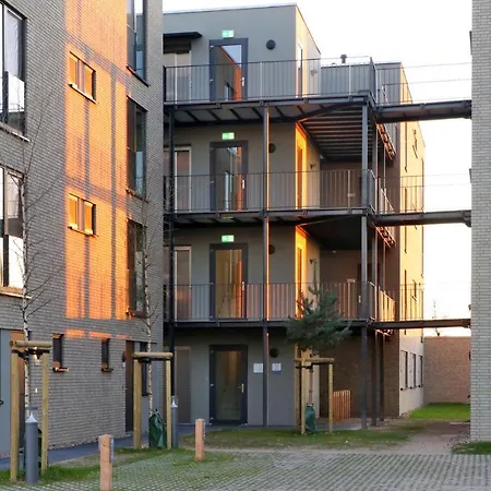 Awesome In Lembruch-duemmer * Lembruch